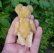 画像3: エクセレントコンディション☆ Schuco Blond Mascot Bear 9cm 推定1950年代　（ビンテージ）
