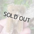 エクセレントコンディション☆ Schuco Mascot Bear, caramel 6.5cm 推定1950年代　（ビンテージ）