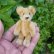 画像1: エクセレントコンディション☆ Schuco Blond Mascot Bear 9cm 推定1950年代　（ビンテージ） (1)