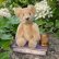 画像2: エクセレントコンディション☆ Schuco Blond Mascot Bear 9cm 推定1950年代　（ビンテージ）