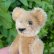 画像5: エクセレントコンディション☆ Schuco Blond Mascot Bear 9cm 推定1950年代　（ビンテージ）