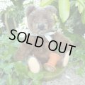 珍しいお色です☆ Steiff Dark Brown Original Teddy 18cm 推定1950年代　（ビンテージ）