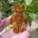 画像2: エクセレントコンディション☆ Schuco Mascot Bear, rusty brown 6.5cm 推定1950年代-1960年代　（ビンテージ） (2)
