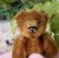 画像4: エクセレントコンディション☆ Schuco Mascot Bear, rusty brown 6.5cm 推定1950年代-1960年代　（ビンテージ） (4)
