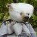 画像4: 1点もの☆Doris 22cm by Ingrid Schmid （カナダ）