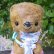 画像2: 1点もの☆Sweet Cat Loving Cuddle Bear 18cm by 加藤日砂