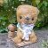 画像1: 1点もの☆Sweet Cat Loving Cuddle Bear 18cm by 加藤日砂 (1)
