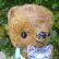 画像3: 1点もの☆Sweet Cat Loving Cuddle Bear 18cm by 加藤日砂