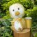 画像1: オススメです☆1点もの☆ 赤ちゃんアヒルのドニー 12cm by Lynne Farmer（英） (1)