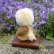 画像3: オススメです☆1点もの☆ 赤ちゃんアヒルのダフネ 12cm by Lynne Farmer（英）