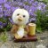 画像1: オススメです☆1点もの☆ 赤ちゃんアヒルのダフネ 12cm by Lynne Farmer（英） (1)