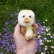 画像4: オススメです☆1点もの☆ 赤ちゃんアヒルのダフネ 12cm by Lynne Farmer（英）