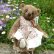 画像2: 1点もの☆ Pinny Mufflin by Mary 20cm（フォーゲットミーノット）