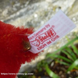 画像9: 残りわずか☆　シュタイフ　【ウィットニー限定】 ポケットアルフォンゾ 15cm  632番