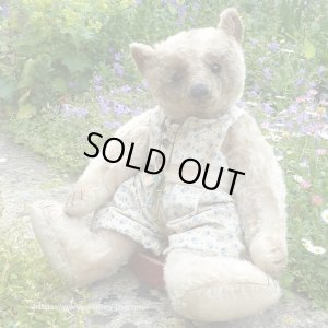 画像1: 1点もの☆ Malpy Sennen 43cm by Ali Jayne Creations （英）
