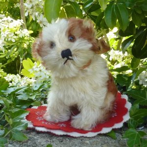 画像1: 14cm Steiff Molly Puppy 推定1959年〜1969年頃　（ビンテージ）