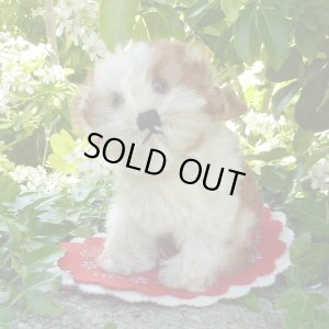 画像1: 14cm Steiff Molly Puppy 推定1959年〜1969年頃　（ビンテージ）
