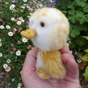画像1: オススメです☆1点もの☆ 赤ちゃんアヒルのダンカン 12cm by Lynne Farmer（英）