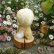 画像6: オススメです☆1点もの☆ 赤ちゃんアヒルのダンカン 12cm by Lynne Farmer（英）
