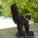 画像3: Steiff Black Tom Cat 10cm 推定1959年〜67年頃（ビンテージ）