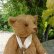 画像3: 2017年☆1点もの☆ Bertie Zingle by Joy 30cm（フォーゲットミーノット）