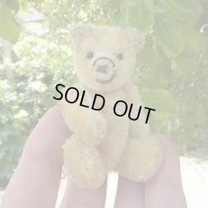 画像3: 【ウィットニー限定】セオドア　8.5cm 858番