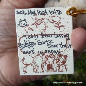 画像8: 1点もの☆ 大好き、テディベア抱き抱きエキゾチックショートヘアーキャット 17cm by 加藤日砂