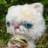 画像4: 1点もの☆ 大好き、テディベア抱き抱きエキゾチックショートヘアーキャット 17cm by 加藤日砂