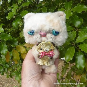 画像7: 1点もの☆ 大好き、テディベア抱き抱きエキゾチックショートヘアーキャット 17cm by 加藤日砂