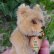 画像6: 貴重なお品です！ Steiff Teddy Baby 9cm 推定1950年〜1957年頃　（ビンテージ）