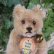 画像5: 貴重なお品です！ Steiff Teddy Baby 9cm 推定1950年〜1957年頃　（ビンテージ）