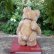 画像2: 貴重なお品です！ Steiff Teddy Baby 9cm 推定1950年〜1957年頃　（ビンテージ）