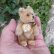 画像4: 貴重なお品です！ Steiff Teddy Baby 9cm 推定1950年〜1957年頃　（ビンテージ）