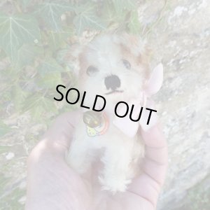 画像1: 10cm Steiff Molly Puppy 推定1959年〜1967年頃　（ビンテージ）