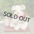 可愛いです♪♪　10cm Steiff Kitty Cat 1960年代　（ビンテージ）