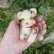 画像5: 可愛いです♪♪　10cm Steiff Kitty Cat 1960年代　（ビンテージ）