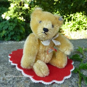画像1: エクセレントコンディション☆ Steiff Blond Original Teddy 15cm 推定1950年代　（ビンテージ）