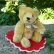 画像1: エクセレントコンディション☆ Steiff Blond Original Teddy 15cm 推定1950年代　（ビンテージ） (1)