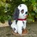 画像3: 値下げ価格からさらにOFF！ Tinker Tubbee Pup 16 cm by Deb Beardsley （アメリカ）4番 (3)