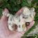 画像4: 10 cm Steiff Tabby Cat 推定1960年代　（ビンテージ）