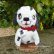 画像1: 値下げ価格からさらにOFF！ Tinker Tubbee Pup 16 cm by Deb Beardsley （アメリカ）4番 (1)