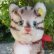 画像4: 大変貴重なお品です！ シュタイフ社アーカイブより 18cm Steiff Cattie Cat 1969年　（ビンテージ）