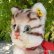 画像5: 大変貴重なお品です！ シュタイフ社アーカイブより 18cm Steiff Cattie Cat 1969年　（ビンテージ）