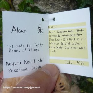 画像5: 初登場☆1点もの 輿石恵さん作 Akari/朱 11cm 