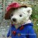 画像3: 1点もの☆Paddington Look-a-like 26cm by Anna Koetsee （オランダ）