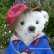 画像2: 1点もの☆Paddington Look-a-like 26cm by Anna Koetsee （オランダ）