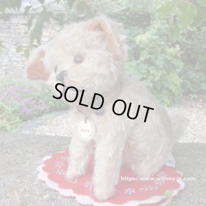 画像2: 【ウィットニー限定】ウォーリー 20cm 　61番