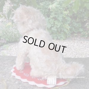 画像4: 【ウィットニー限定】ウォーリー 20cm 　61番