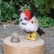 画像2: エクセレントコンディション☆ Steiff Wool Bird white, brown black and red 4cm 推定1968-1978年頃（ビンテージ） (2)
