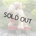 可愛いお顔です☆ Steiff Molly Puppy 推定1959年〜1969年頃 25cm（ビンテージ）